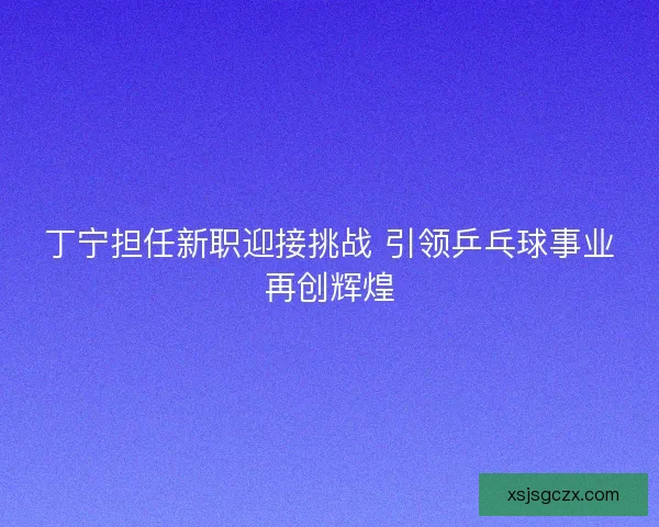 丁宁担任新职迎接挑战 引领乒乓球事业再创辉煌
