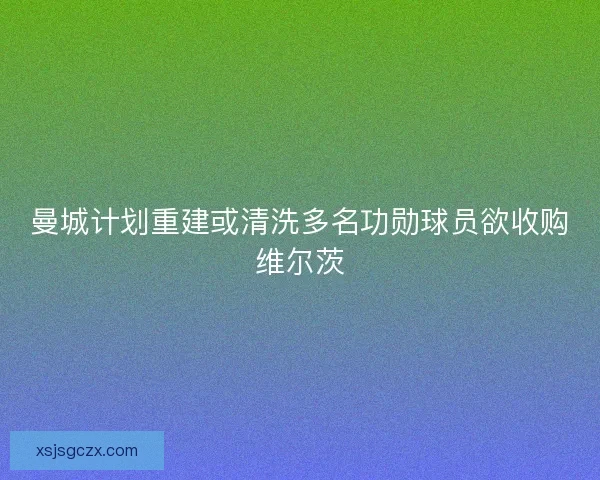 曼城计划重建或清洗多名功勋球员欲收购维尔茨 曼城计划重建或清洗多名功勋球员欲收购维尔茨